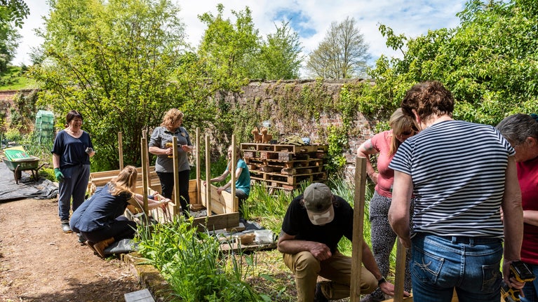 A group of people working to build a garden in the spring sunshine